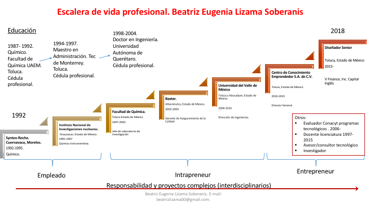 Escalera de energía profesional